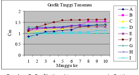 Gambar 2. Graik tinggi tanaman anggrek Cattleya pastoral Innocence selama 10 minggu