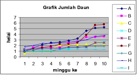 Grafik Jumlah Daun