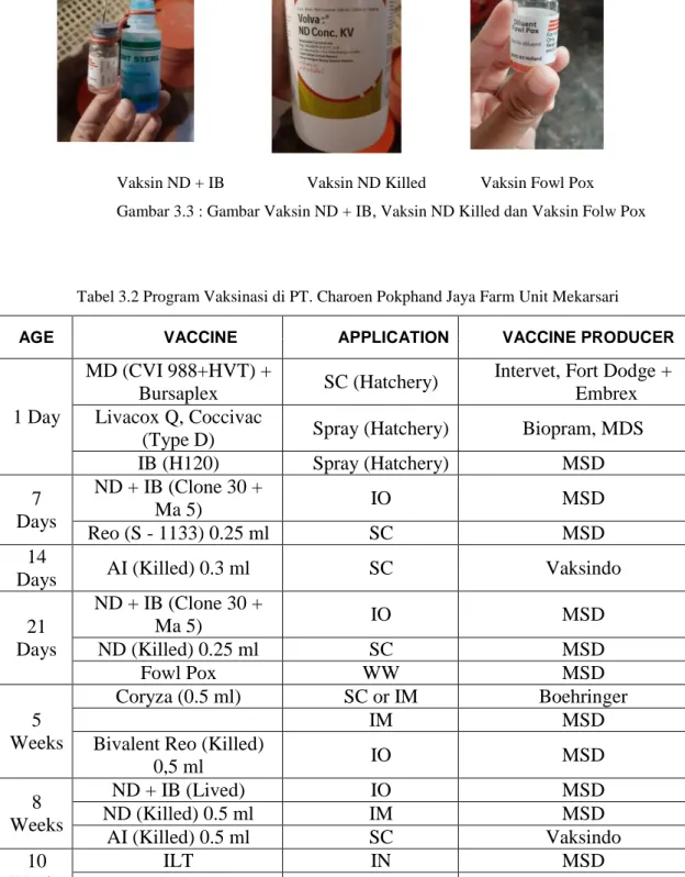 Gambar 3.3 : Gambar Vaksin ND + IB, Vaksin ND Killed dan Vaksin Folw Pox 