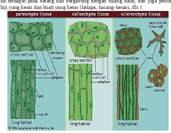 Gambar jaringan sederhana