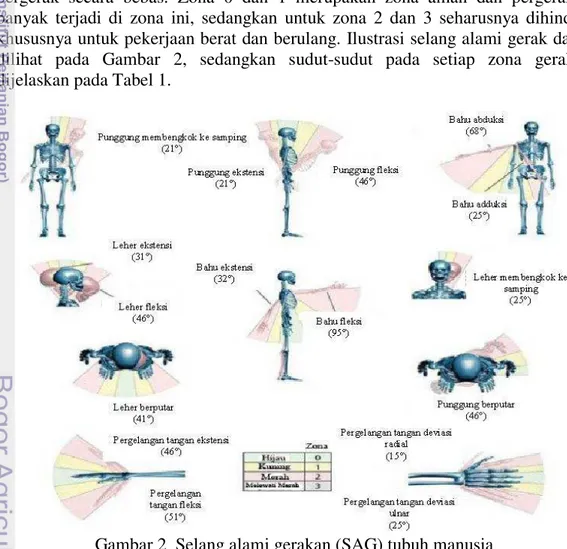 Gambar 2  Selang alami gerakan (SAG) tubuh manusia 