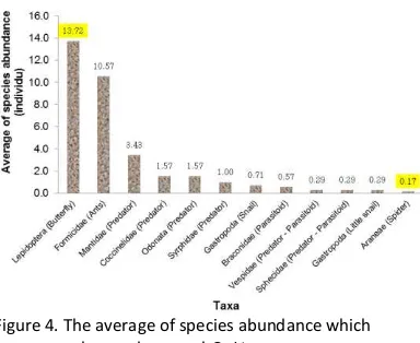 Figure 5.  The average of species abundance which observed in C. asiaticum L. Note : Odo (Odonata); Lepi (Lepidoptera); Spheci (Sphecidae); Ves (Vespidae); Kmb (Kumbang madu besar); Aphid (Aphididae); Hym (Hymenoptera); Tachi (Tachinidae); Mf (Maelanoplos 