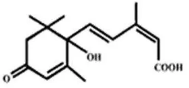 Gambar 2 Struktur kimia asam absisik (ABA) 