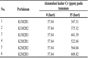 Tabel 4.16. Akumulasi kadar kromium (Cr)  pada Zizanioides
