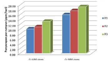 Gambar 4.15. Histogram penyerapan kadar logam Cr pada tanaman dengan perlakuan variasi jumlah tanaman pada media tanah kompos 40%:60%