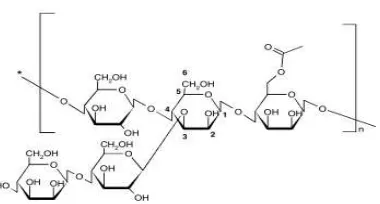 Gambar 5 Struktur molekul glukomannan (Sande et al. 2009) 