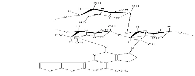 Gambar 13  Teori ikatan glukomannan dengan aflatoksin (diolah dengan program 