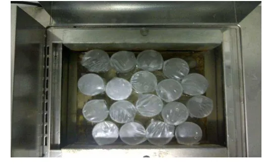 Gambar 14 Inkubasi in vitro bahan pengikat dengan aflatoksin 