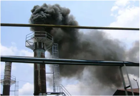 Gambar 1.2. Emisi Pembakaran dari Boiler Pabrik Kelapa Sawit  