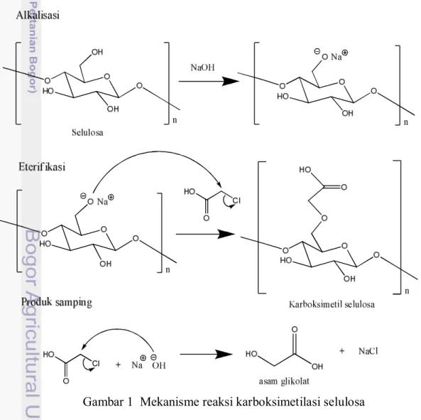 Gambar 1  Mekanisme reaksi karboksimetilasi selulosa 