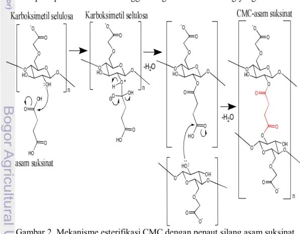 Gambar 2  Mekanisme esterifikasi CMC dengan penaut silang asam suksinat 