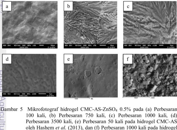 Gambar 5  Mikrofotograf hidrogel CMC-AS-ZnSO4 0.5% pada (a) Perbesaran  100 kali, (b) Perbesaran 750 kali, (c) Perbesaran 1000 kali, (d)  Perbesaran 3500 kali, (e) Perbesaran 50 kali pada hidrogel CMC-AS  oleh Hashem et al