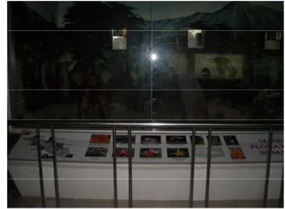 Foto 2 Panel persebaran flora dan fauna  Sumber : Dok. Museum Lampung Foto 1 penyajian koleksi flora dan fauna 
