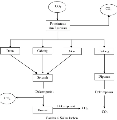 Gambar 4. Siklus karbon