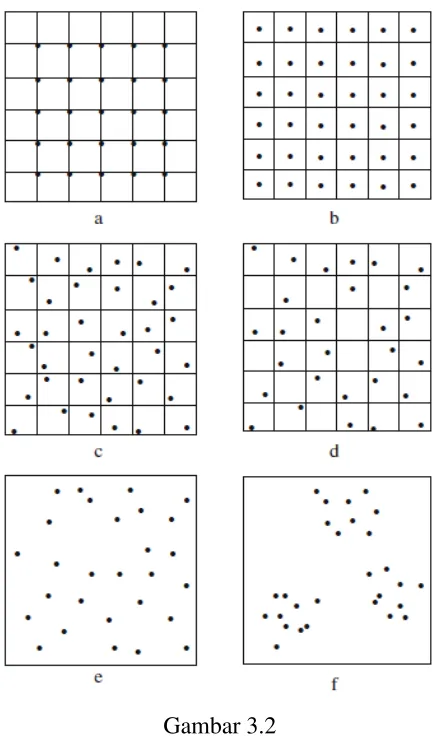 Gambar 3.2 Areal Sampling Patterns 