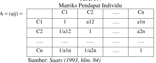 Tabel 3.4 Matriks Pendapat Individu 