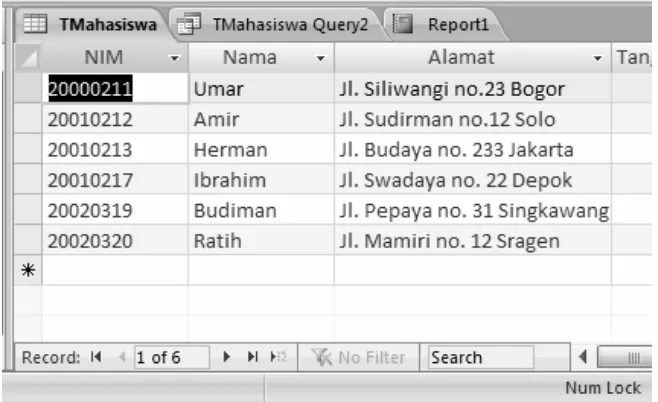 Gambar 1.18 Bidang tampilan objek database dengan beberapa objek yang telah ada 