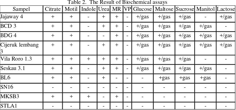 Table 2.  The Result of Biochemical assays 