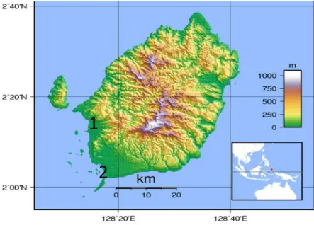 Gambar  1.  Lokasi  Inventarisasi  Jenis  Bakau  di  P.  Morotai  (1:  Daruba,  2:  Wayabula)  (Location  of  Mangrove  Species Inventarization in Morotai Island (1: Daruba, 2: Wayabula)