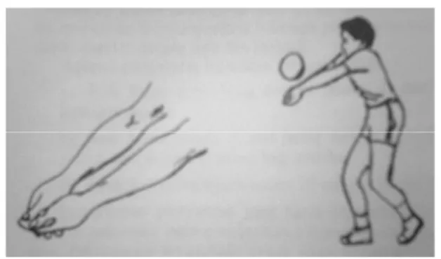 Gambar 1. Sikap tangan saat perkenaan bola pada saat  Passing bawah. Sumber : Sukintaka.dkk (1979: 32)