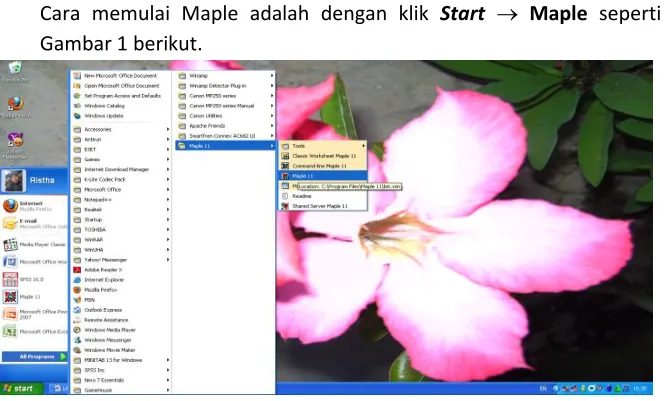 Gambar 1. Icon Software Maple pada Windows 