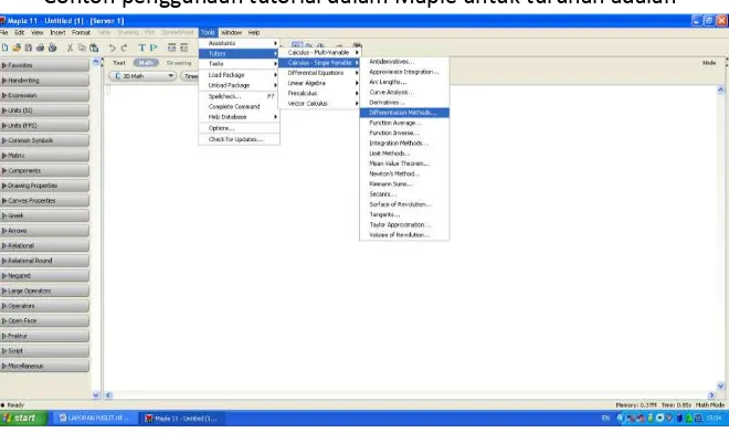 Gambar 2. Tampilan Awal Software Maple 