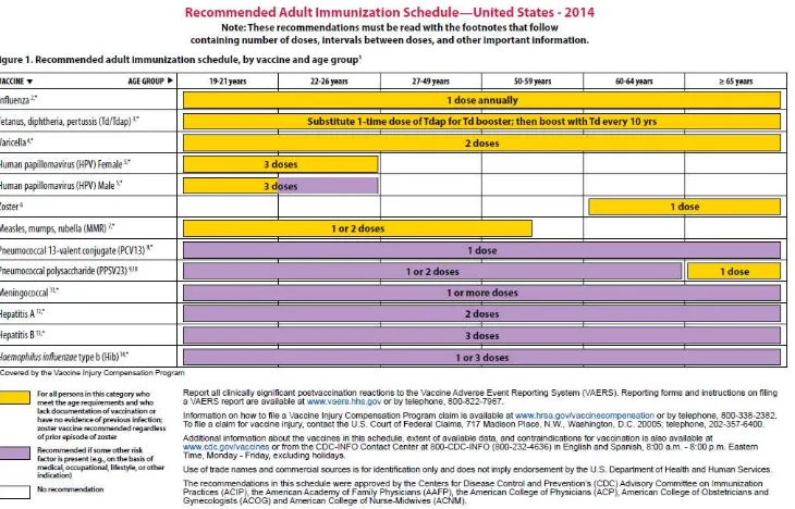 Gambar 7.Jadwal imunisasi pada orang dewasa22
