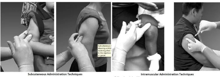 Gambar 6.Cara penyuntikan vaksin subkutan dan Intramuskular13