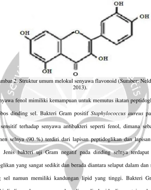 Gambar 2. Struktur umum melokul senyawa flavonoid (Sumber: Neldawati, dkk. 