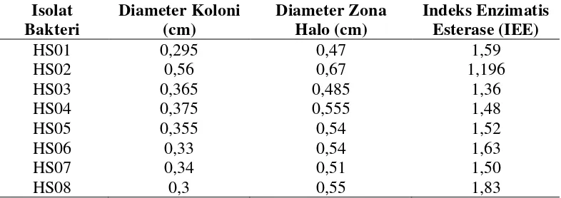 Tabel 4.2.1 Indeks Enzim Esterase Bakteri Endofit Tomat 