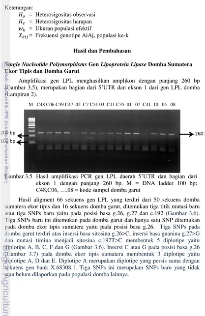 Gambar 3.5 Hasil amplifikasi PCR  gen LPL daerah 5’UTR dan bagian dari 