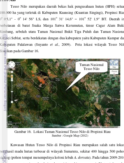 Gambar 16.  Lokasi Taman Nasional Tesso Nilo di Propinsi Riau 