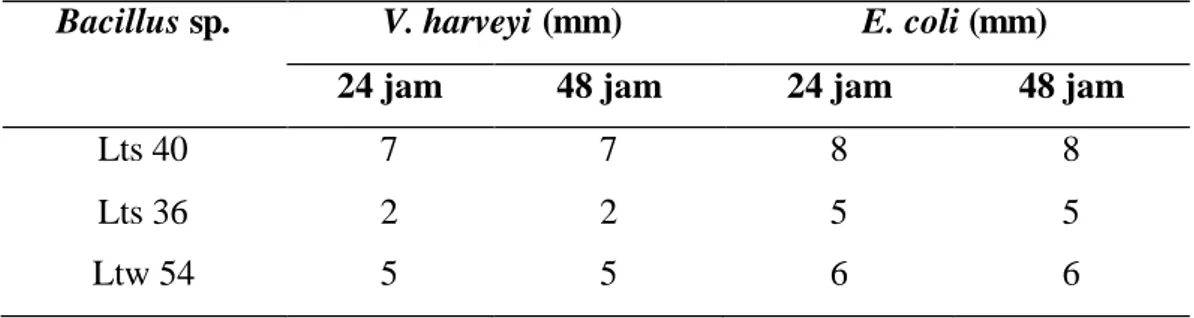 Tabel  3 Jarak penghambatan  Bacillus sp. terhadap  V. harveyi  dan  E.  coli  dengan 
