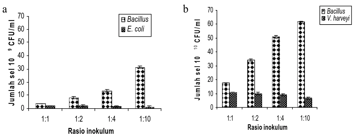 Gambar  5  Jumlah sel  Bacillus  sp. Lts 40 dengan rasio inokulum  Bacillus  sp.  Lts  40 terhadap (a) V