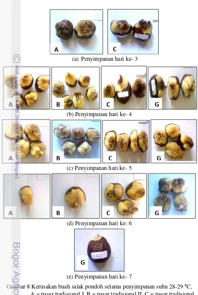Gambar 8 Kerusakan buah salak pondoh selama penyimpanan suhu 28-29 °C, 