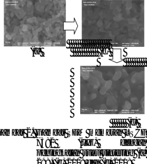 Gambar  2  dan  3  menunjukkan  mikrograf  SEM  membran  perovskit  La 0,7 Sr 0,3 Co 0,8 Fe 0,2 O 3   yang  disinter  pada  suhu 