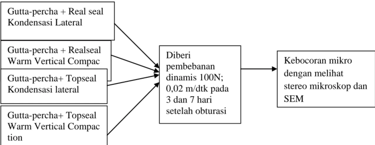 Gambar 3.1. Kerangka Konsep 