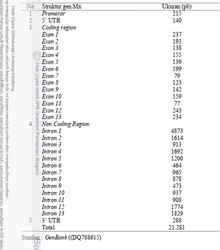 Tabel 2.1  Struktur dan ukuran gen Mx pada ayam 