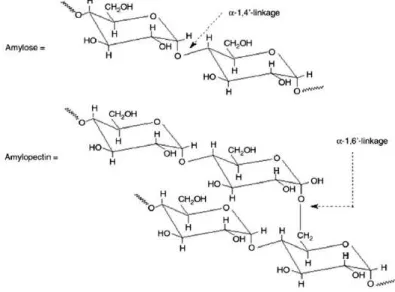 Gambar 2.1 Struktur Amilosa (a) dan Amilopektin (b)  (Sumber: Kristiani, 2015) 