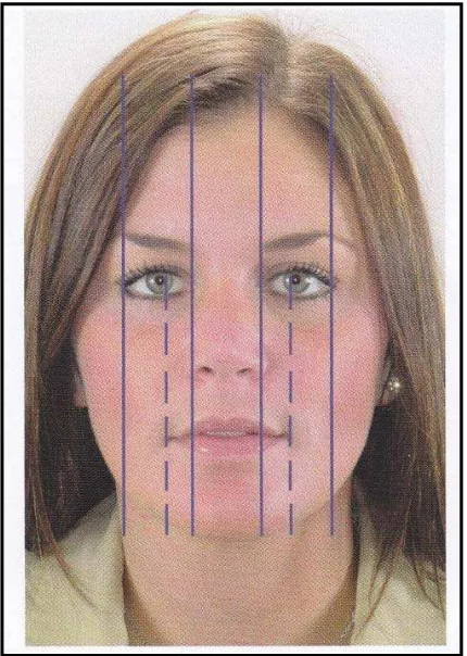 Gambar 4. Simetri dan proporsi wajah pada        bidang frontal20 