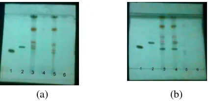Gambar 1  Kromatogram Lapis Tipis, (1) Standar Kerja Parasetamol, (2) Standar Kerja Deksametason, (3) Filtrat Jamu Simulasi, (4) Load, (5) Larutan Pencuci, (6) Hasil Elusi, Dilihat Di Bawah Sinar UV Λ 254 Nm