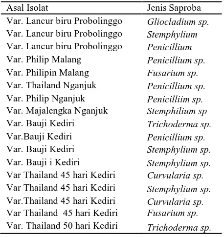 Tabel 2. Sebaran Beberapa Jamur Saproba Filoplen pada Tanaman Bawang Merah di beberapa Kabupaten di Jawa Timur selama Bulan Mei-Agustus 2009 No