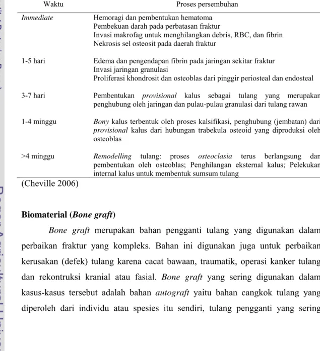 Tabel 1  Persembuhan luka pada fraktur tulang tipe sederhana (uncomplicated) 