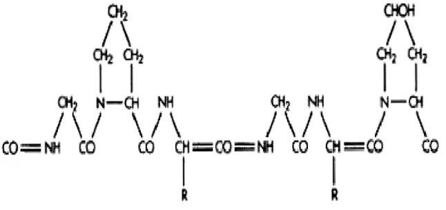 Gambar 1. Struktur kimia gelatin 