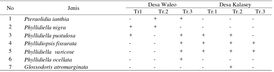Tabel 1. Komposisi Jenis Nudiranchia yang ditemukan pada perairan Desa Waleo dan Perairan Desa Kalasey 