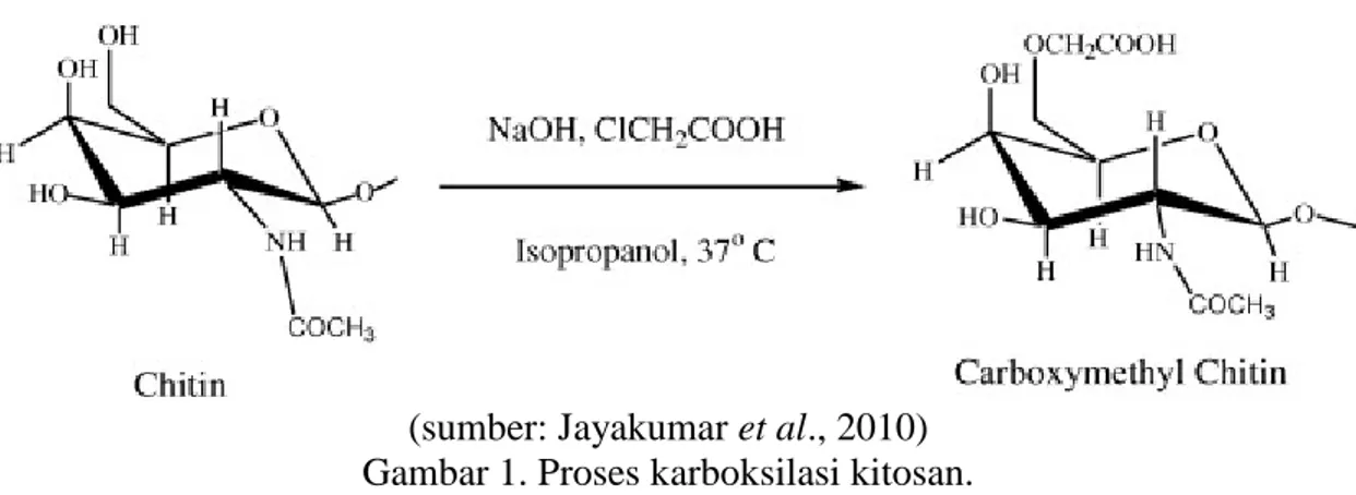 Gambar 2. Proses pembuatan N,O-karboksimetil kitosan.
