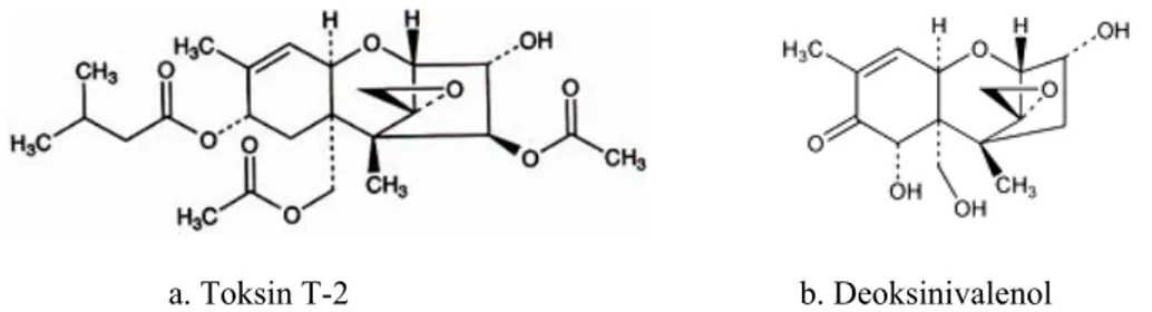 Gambar 1. Struktur kimia (a) toksin T-2 dan (b) deoksinivalenol 