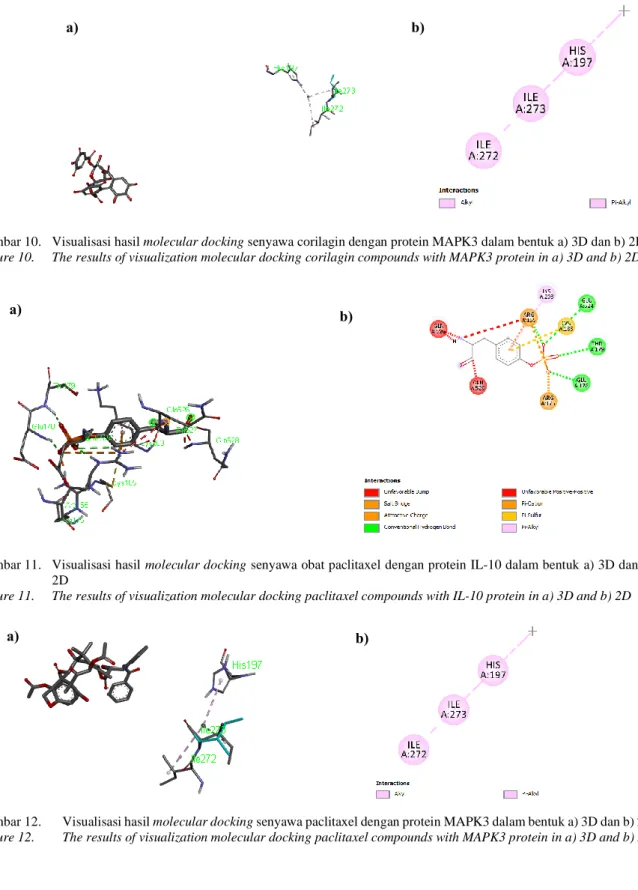 Gambar 10.   Visualisasi hasil molecular docking senyawa corilagin dengan protein MAPK3 dalam bentuk a) 3D dan b) 2D  Figure 10