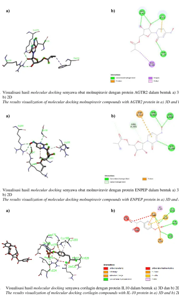Gambar 7.  Visualisasi hasil molecular docking senyawa obat molnupiravir dengan protein AGTR2 dalam bentuk a) 3D dan  b) 2D 