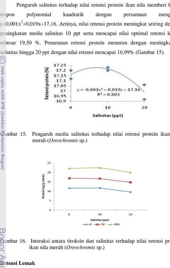 Gambar  15.    Pengaruh  media  salinitas  terhadap  nilai  retensi  protein  ikan  nila  merah (Oreochromis sp.)  